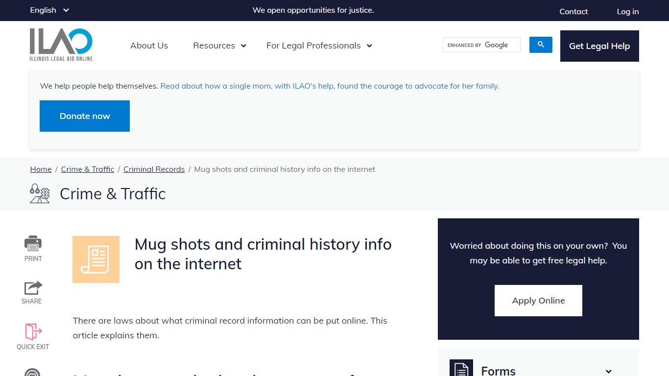 Mug shots and criminal history info on the internet